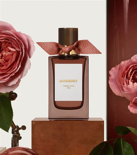 Burberry tudor rose perfume